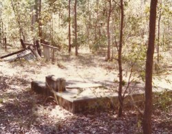 Carnegie grave late 70s