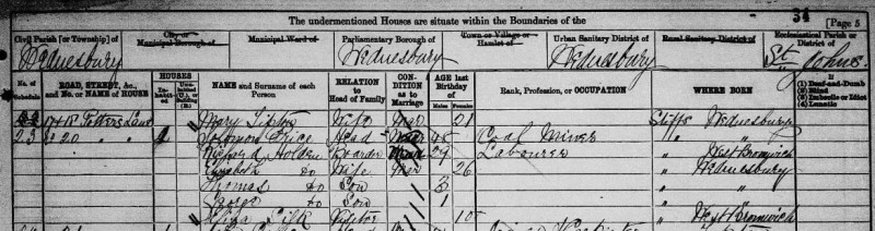 Findmypast 1881 census Solomon Price Wednesbury Staffordshire
