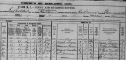 Irish census 1901 Form B Sarah Fegan