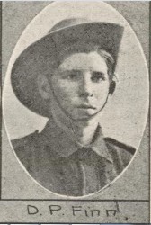 Denis Finn, The Queenslander 8 Jan 1916
