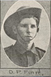 Denis Finn The Queenslander 8 Jan 1916