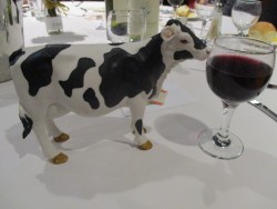A thirsty conference cow